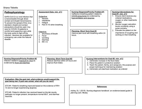 NUR 215 Basic Concept Map Assignment Briana Tibbetts Nursing