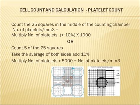 Hemocytometer Manual Cell Counting 1