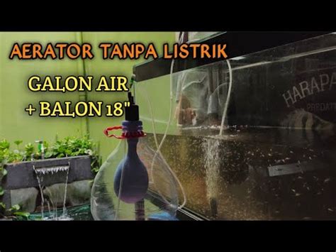 Cara Membuat Aerator Tanpa Listrik Dari Botol Dan Balon YouTube