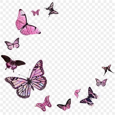 Pink butterfly border design element | Premium PNG - rawpixel