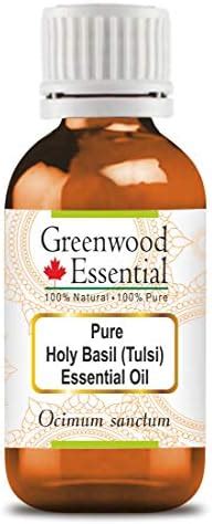 Greenwood Essential Pure Holy Basil Tulsi Essential Oil Ocimum