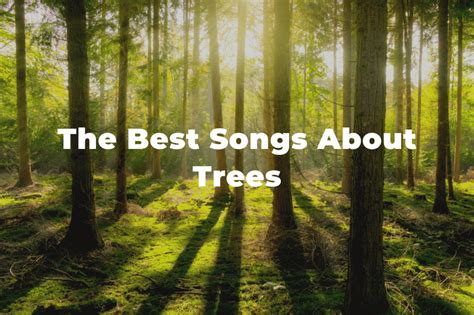 25 Of The Best Songs About Trees And Forests