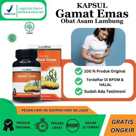 Jual Kapsul Gamat Emas ASLI 100 Original Obat Asam Lambung Maag Gerd