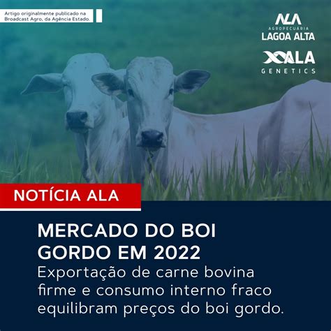 Mercado Do Boi Gordo Em 2022