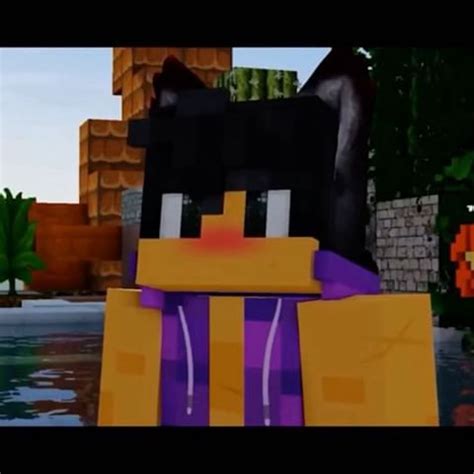 Skins | Aphmau Wiki | FANDOM powered by Wikia