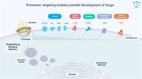 PIPELINE - Porosome Therapeutics, Inc.