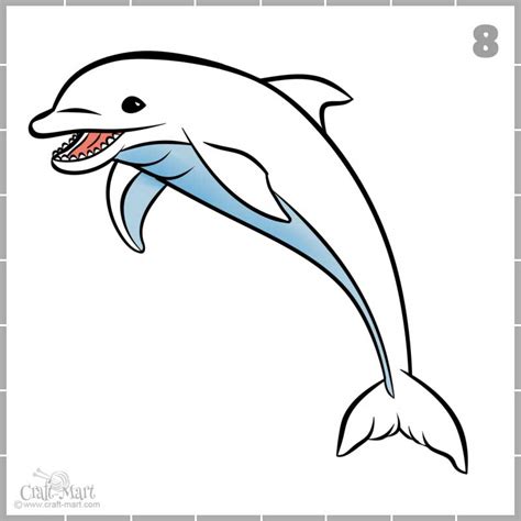 Drawing A Dolphin Step By Step Tutorial Craft Mart