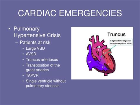 PPT CARDIAC EMERGENCIES AND POST PROCEDURAL CARE IN THE NICU