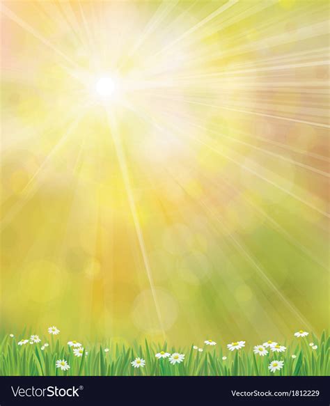 Sun Grass Background Royalty Free Vector Image