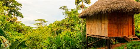 Amazon Rainforest Lodge Iquitos Ciudad Peru Todo Turismo Viajes A