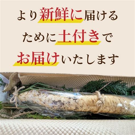 萩原 秀則 L 【公式】 うまちょく便 静岡・山梨名物・特産品を通販でお取り寄せ 冬ギフト ／ 山芋の王様 風味豊かなとろろ 日本原産