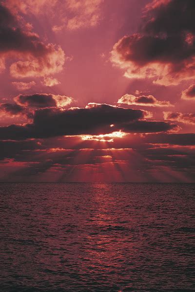 Ocean Sunset Free Photo Download | FreeImages