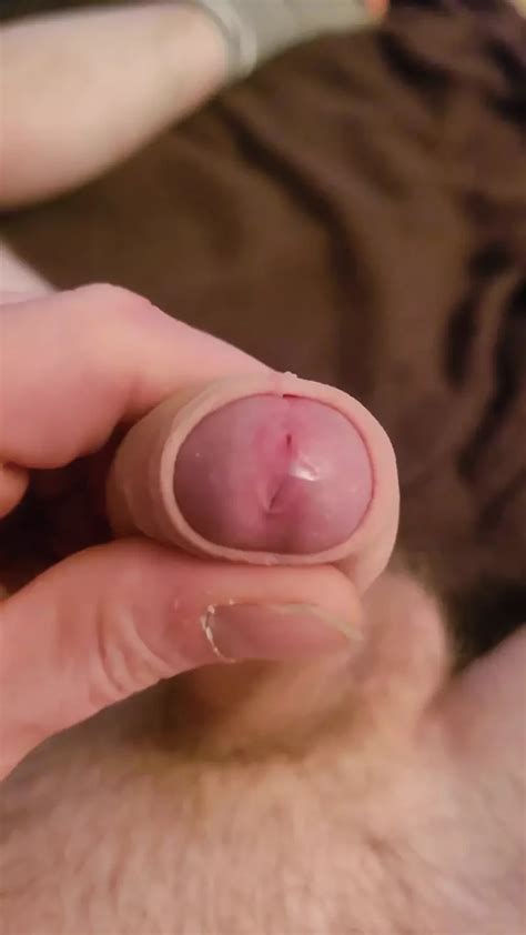 Penis Zeigen Free Gay HD Porn Video XHamster