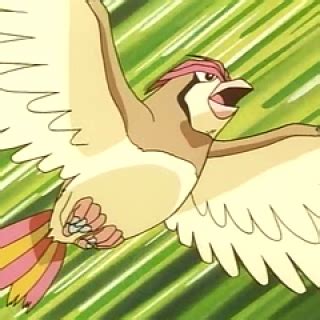 Pidgeotto Movies - Comic Vine