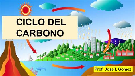 Ciclo Biogeoquimico Del Carbono Youtube