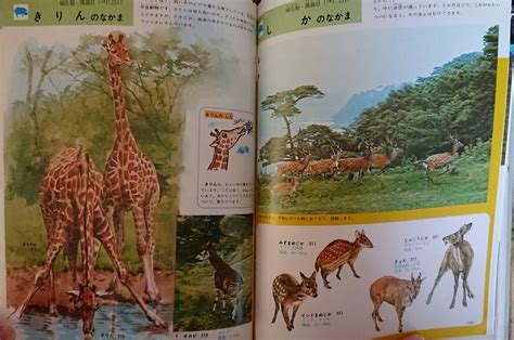 小学館の学習百科図鑑5 動物の図鑑 全240ページうちカラーページが半分程 監修理学博士 今泉良典 国立科学博物館動物研究部長図鑑｜売買さ