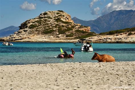 Plage Du Lotu Et Punta De Cavallata Randos Passion