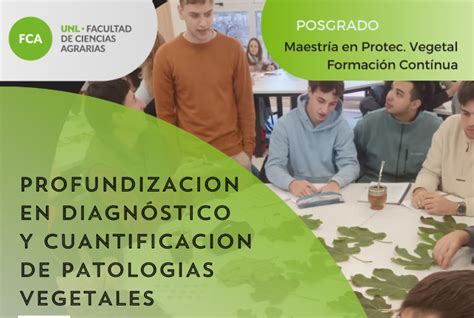 Profundización en diagnóstico y cuantificación de patologías vegetales