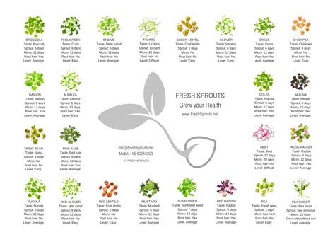 Sprout chart in print with info on organic sprouts and microgreens