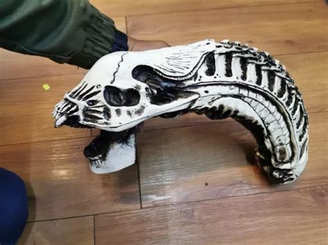 Cráneo De Alien Xenomorpho De 40cm Alien El Octavo Pasajero en venta en