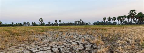 Crisis En El Campo Mexicano Abandono Gubernamental Y Amenazas De