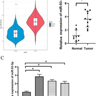 Hand As Targets Mirna P In Bca Cells A The Venn Plot Of