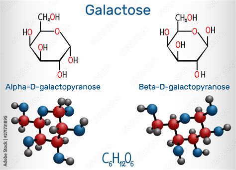 Galactose Alpha D Galactopyranose Beta D Galactopyranose Milk Sugar