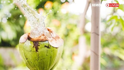 Coconut Water Benefits नारळ पाणी पिण्याचे आश्चर्यकारक फायदे वाचा