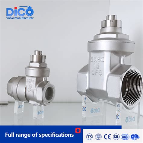 Dico Stainless Steel CE ISO Screw End Magnet Lock Gate Valve China