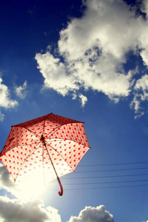 Umbrella By Justapanda On Deviantart Umbrella Umbrella Photography