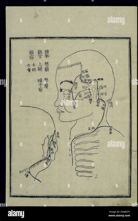 Acu Moxa Chart Triple Burner Channel In The Head And Neck Stock Photo