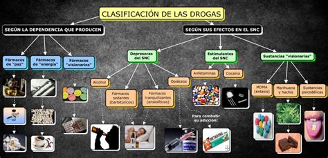 Mapa Conceptual De Las Drogas ¡guía Paso A Paso