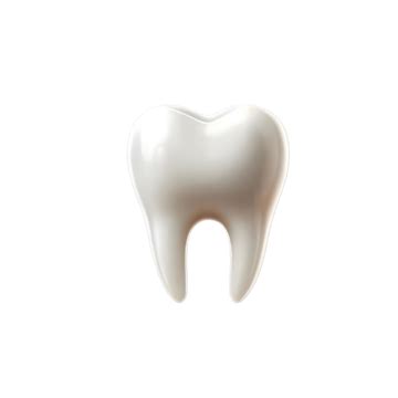 Realistic Tooth Isolated On Transparent Background Realistic Tooth