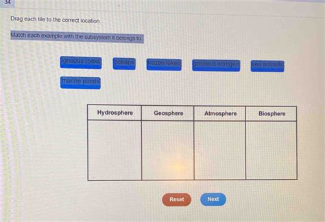 Drag Each Tile To The Correct Location Match Each Example With The