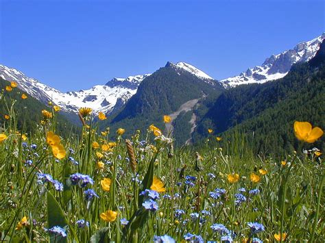 Fond Ecran Printemps Montagne Fonds D Cran Hd