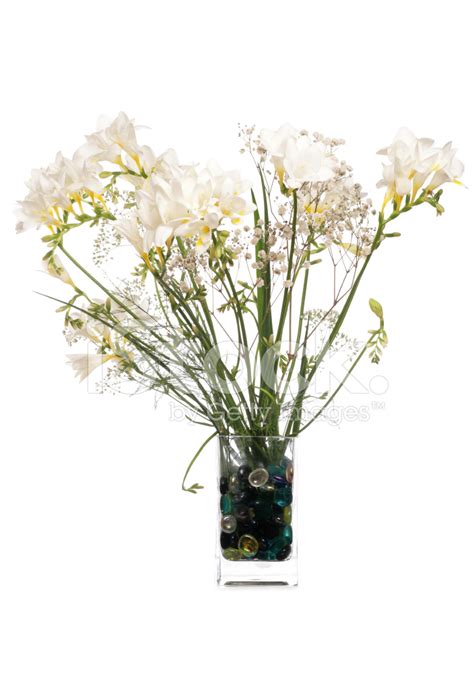 White Flowers In A Vase Stock Photo | Royalty-Free | FreeImages