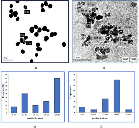 Tem Images And Particle Size Histograms Of Au Nps A C And Spions B