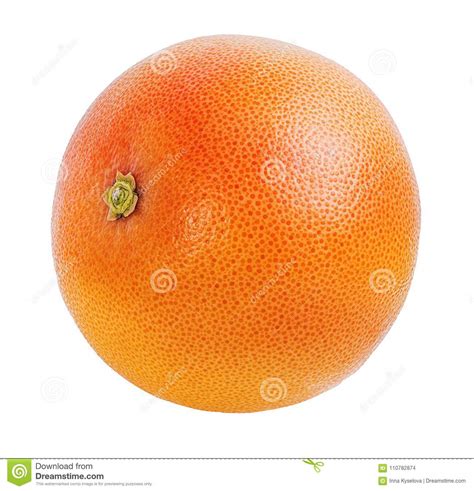 Grapefruit Isolated On White Stock Photo Image Of Healthy Tropical