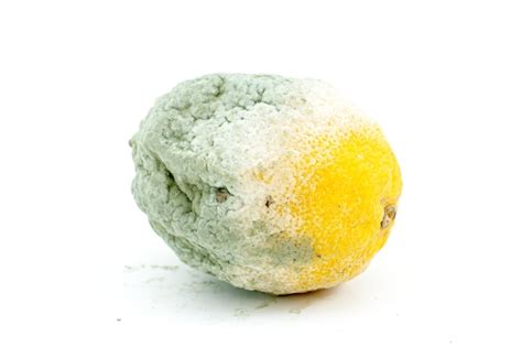 Premium Photo Rotten Lemon Fruit On White Backgroundimage Of A