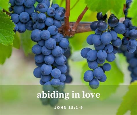 Abiding in Love — Restoration Ministries