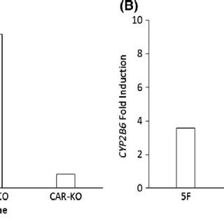 E Max And Ec Lmol L Values For Induction Of Cyp A Mrna For