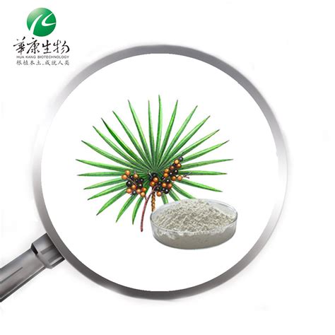 Saw Palmetto Extract - Buy Saw Palmetto Extract, Saw Palmetto Powder ...