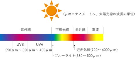 紫外線は3種類！uvaとuvbとuvcの特徴と違いは？ エイジングケアアカデミー