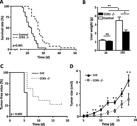 Lack Of Ccr1 Reduces Tumor Development A Survival Curve Of C57bl6