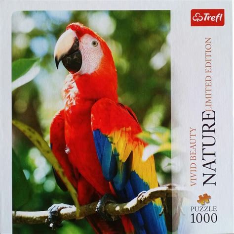 File:1000 Scarlet Macaw, Honduras.jpg