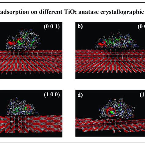 The Initial Most Stable Optimized Geometries After Molecular Mechanics