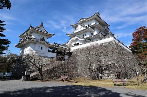 伊賀上野城の写真：模擬天守 しらさぎさん 攻城団