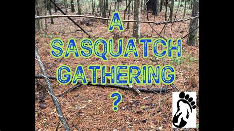 Arkansas Bigfoot A Sasquatch Gathering Youtube