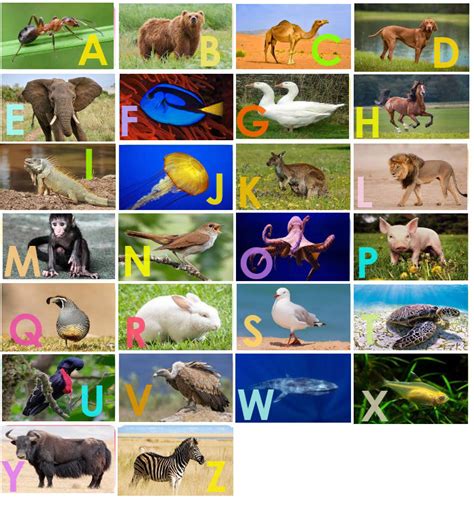 Badanamu ABC Animals by monkyjack on DeviantArt