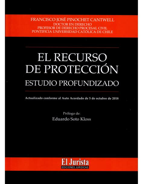 EL RECURSO DE PROTECCION